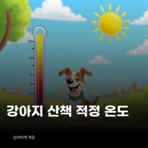 강아지-산책-적정-온도