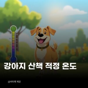 강아지-산책-적정-온도