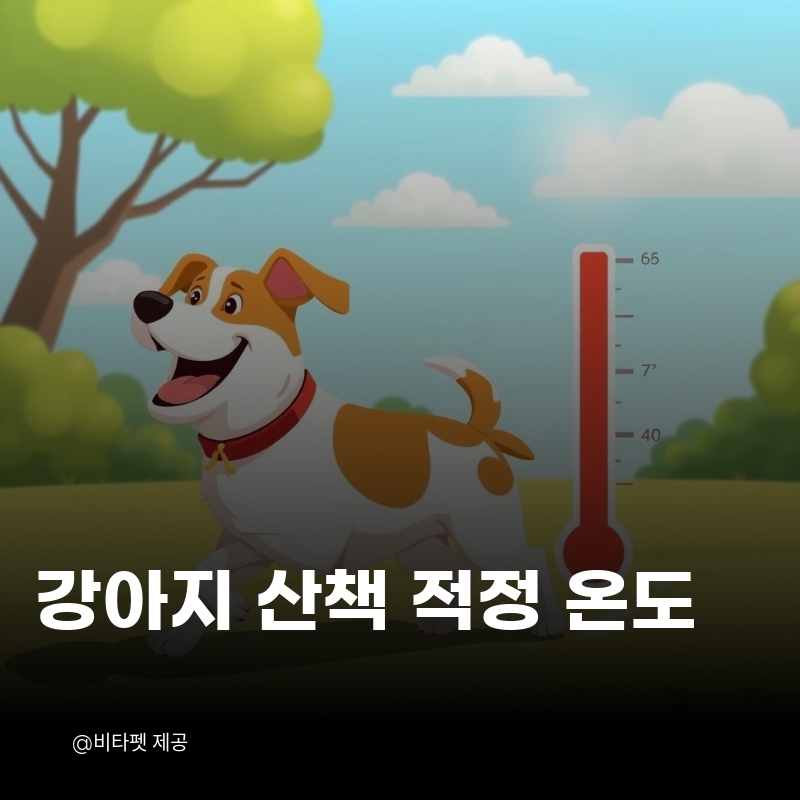 강아지-산책-적정-온도