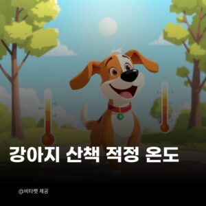 강아지-산책-적정-온도
