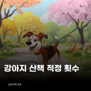 강아지-산책-적정-횟수