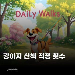 강아지-산책-적정-횟수