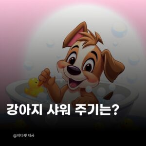강아지-샤워-주기