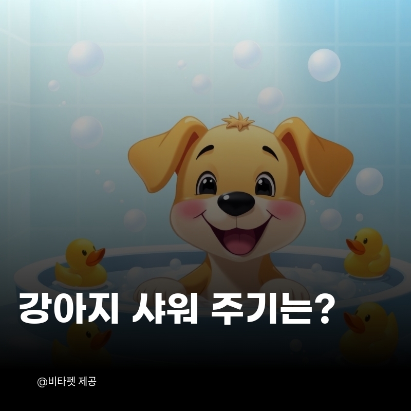 강아지-샤워-주기