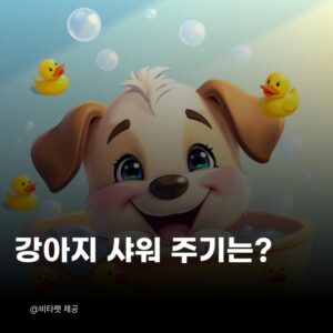 강아지-샤워-주기