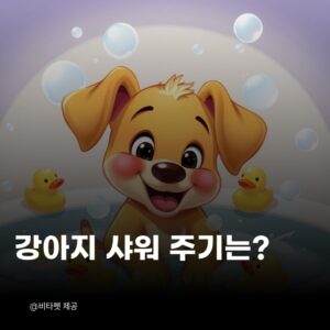 강아지-샤워-주기
