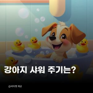 강아지-샤워-주기