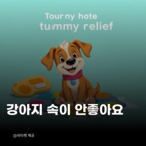 강아지-구토