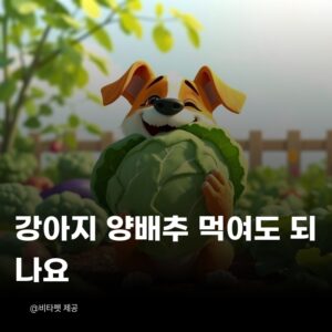 강아지-양배추