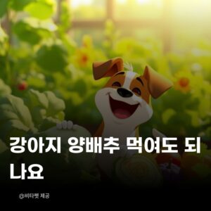 강아지-양배추