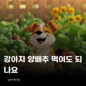 강아지-양배추