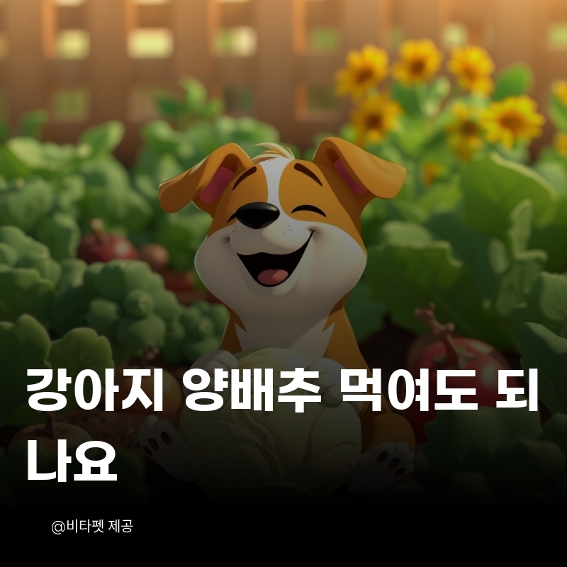 강아지-양배추
