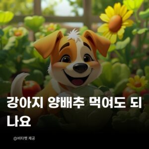 강아지-양배추