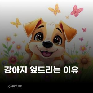강아지-엎드리는-이유