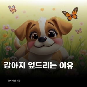 강아지-엎드리는-이유
