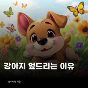 강아지-엎드리는-이유