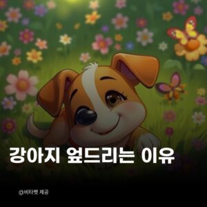 강아지-엎드리는-이유