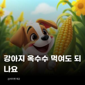 강아지-옥수수