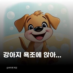 강아지-욕조