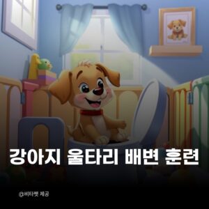 강아지-울타리-배변-훈련