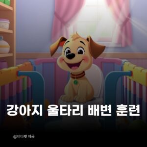 강아지-울타리-배변-훈련