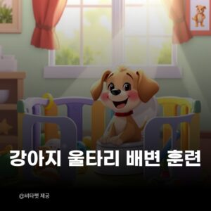 강아지-울타리-배변-훈련