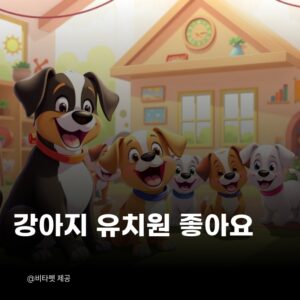강아지-유치원