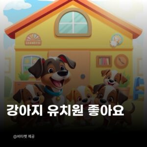 강아지-유치원