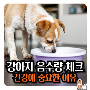 강아지-음수량-체크