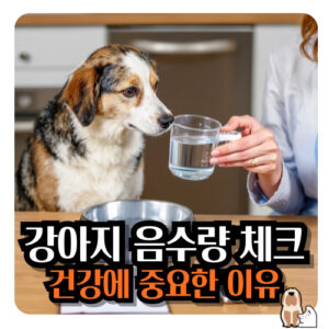 강아지-음수량-체크