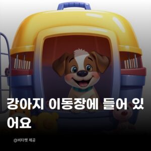 강아지-이동장
