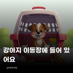 강아지-이동장