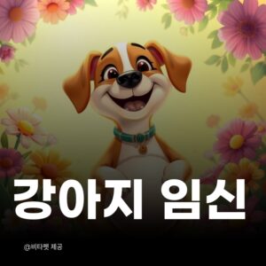 강아지-임신