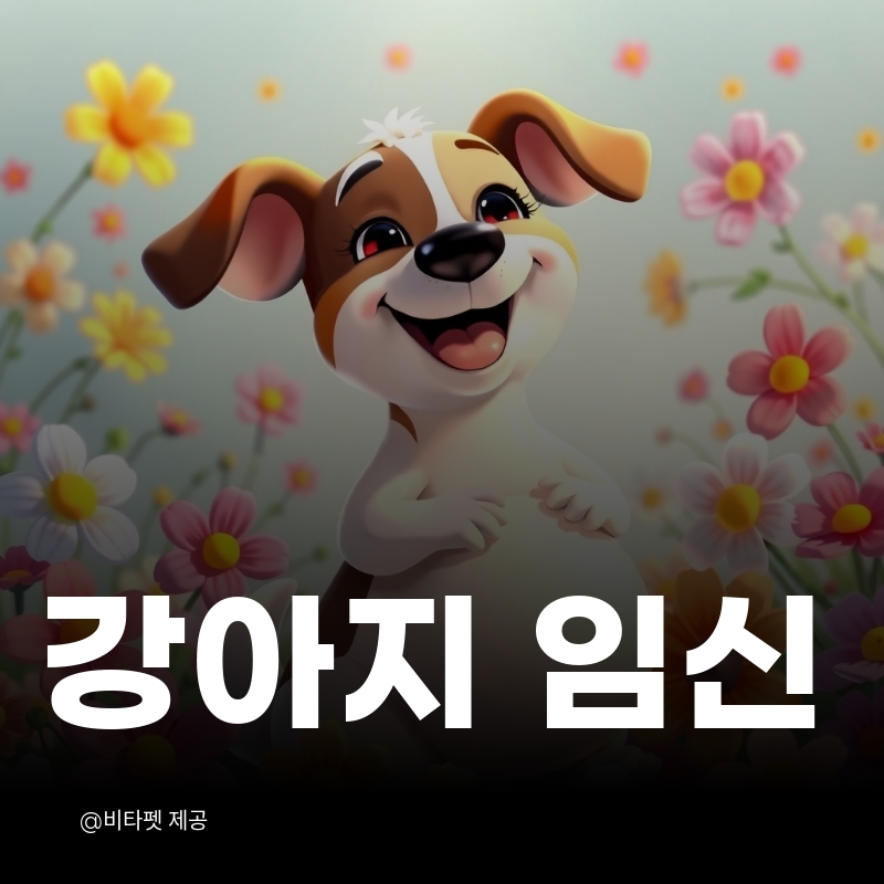 강아지-임신