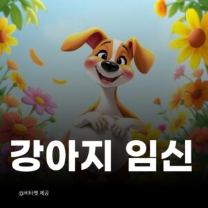 강아지-임신