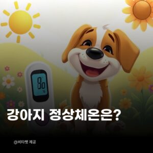 강아지-정상-체온