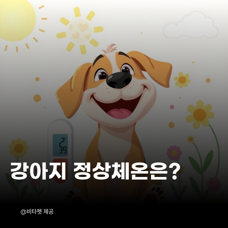 강아지-정상-체온