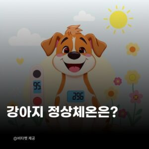 강아지-정상-체온
