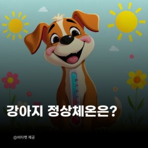 강아지-정상-체온