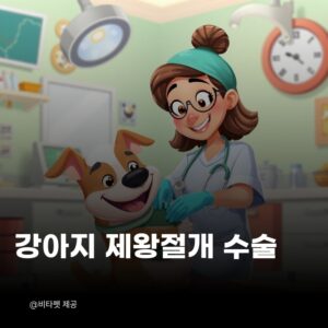 강아지-제왕절개
