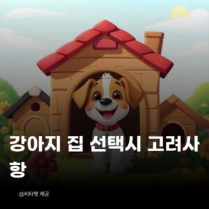 강아지-집-선택