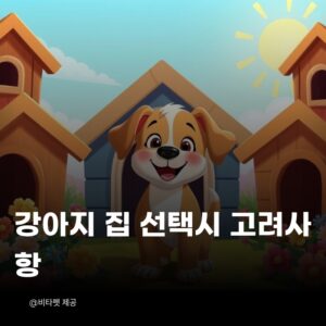 강아지-집-선택