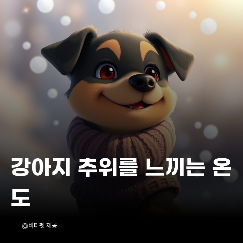 강아지-추위-느끼는-온도