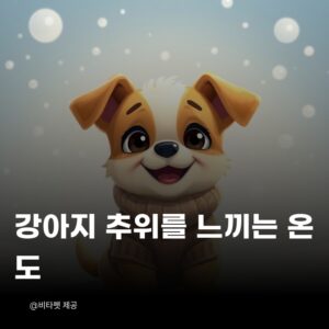 강아지-추위-느끼는-온도