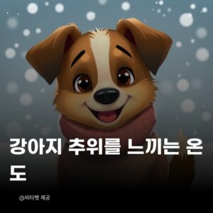 강아지-추위-느끼는-온도
