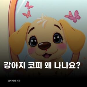 강아지-코피