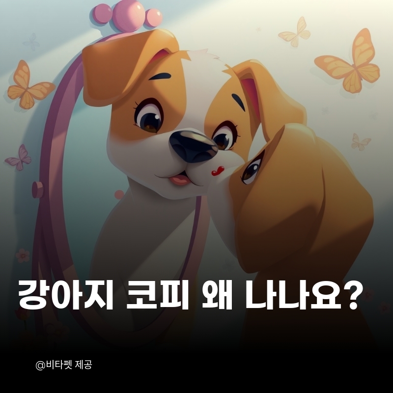 강아지-코피