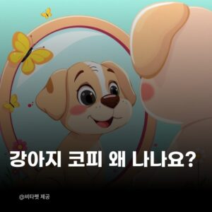 강아지-코피