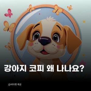 강아지-코피