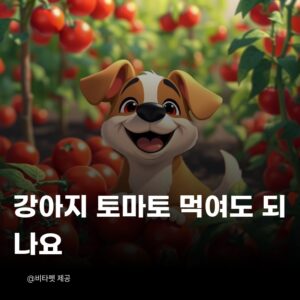 강아지-토마토